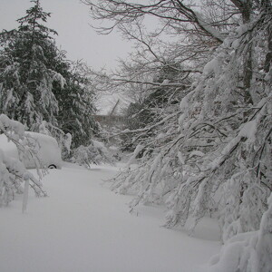 Fundraising Page: John LoPresti